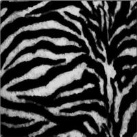 zebra hud, tiger päls, djur- skriva ut. foto