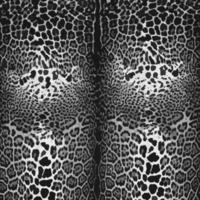 sömlös leopard mönster, leopard hud, djur- skriva ut. foto