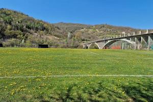 Land fotboll fält med blommor foto