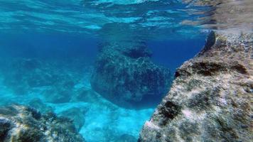 sardinien kristall vatten under vattnet se medan dykning foto