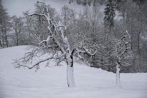 vinter- landskap i österrikiska alps foto