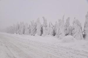 vinter- snöig väg i bergig område efter tung snöfall i rumänien foto