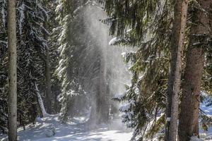 vinter- landskap i österrikiska alps foto