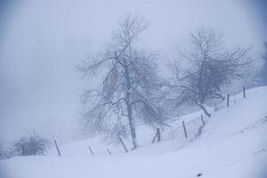 vinter- landskap i österrikiska alps foto