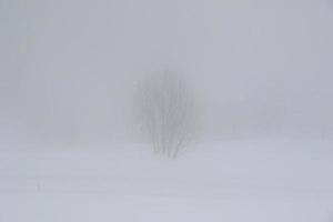 vinter- landskap i österrikiska alps foto