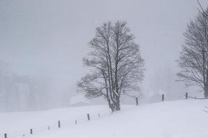 vinter- landskap i österrikiska alps foto