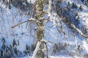 vinter- landskap i österrikiska alps foto