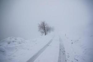 vinter- landskap i österrikiska alps foto