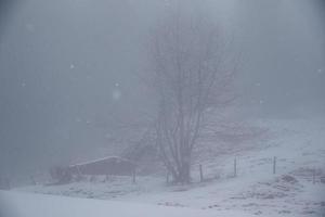 vinter- landskap i österrikiska alps foto