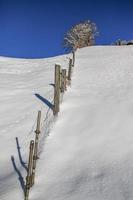 vinter- landskap i österrikiska alps foto