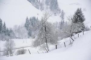 vinter- landskap i österrikiska alps foto