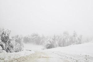 vinter- snöig väg i bergig område efter tung snöfall i rumänien foto