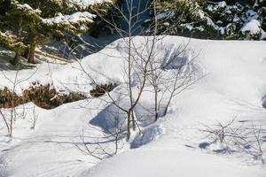 vinter- landskap i österrikiska alps foto