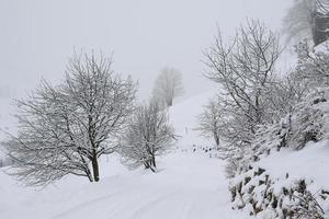 vinter- landskap i österrikiska alps foto