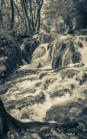 plitvice sjöar nationell parkera landskap vattenfall flöden över stenar kroatien. foto