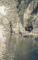 plitvice sjöar nationell parkera kroatien landskap fiskar under turkos vatten. foto