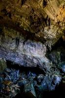 grotta i thailand foto