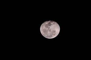 månen på natten foto