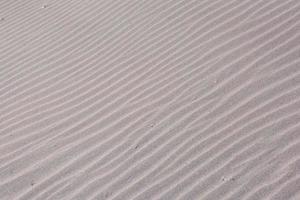 linjer i sanden foto