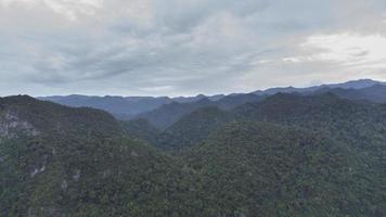 hög vinkel se tropisk skog foto