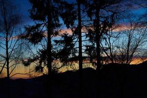landskap av träd i silhuett i de kullar efter solnedgång foto