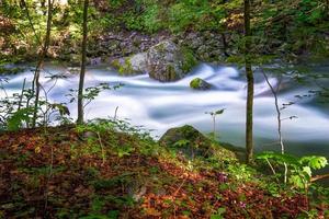 ström i skogen foto