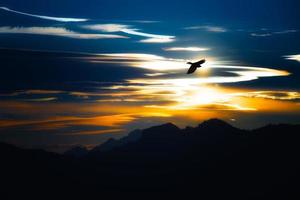 flyg av kråka i de bergen på solnedgång foto
