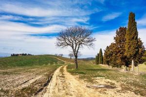 lantlig landskap i tuscany Italien foto