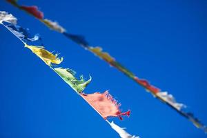 diagonal hängande vibrerande färgrik tibetan buddist bön flaggor foto