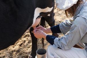 lantlig arbetssätt kvinna mjölkning de kor foto