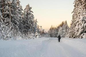 man promenader längs en lantlig väg, rensas av snö, godkänd genom en snötäckt skog. underbar landsbygden vinter- landskap. foto