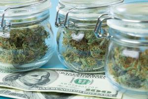 pengar och marijuana. cannabis företag industri begrepp. Rättslig ogräs affär foto