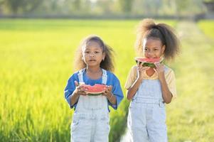 svart flådd söt liten flicka äter vattenmelon utomhus grön ris fält bakgrund afrikansk barn äter vattenmelon foto