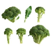 uppsättning av skivor och hela färsk grön broccoli kål isolerat på en vit bakgrund, höst skörda foto