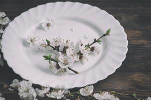 tömma maträtt med körsbär blomma foto