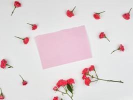 tömma rosa ark av papper och knoppar av rosa reste sig på vit bakgrund foto