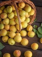 mogen aprikoser spridd från en brun korg- korg foto
