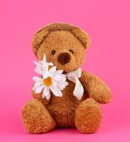 söt brun teddy Björn i en sugrör hatt innehar en vit daisy foto