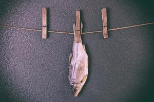 torkades fisk hängande på de rep foto
