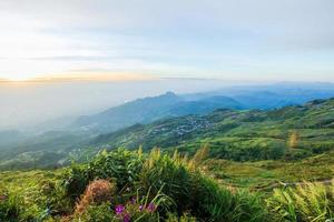 landskap på phu tubberk i Thailand foto