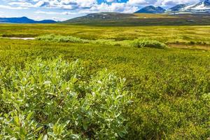 skön berg och landskap natur panorama rondane nationell parkera Norge. foto