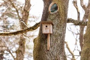 höst landskap - en fågel matare i de form av en hus hängande på en träd mot en bakgrund av gul höst lövverk foto