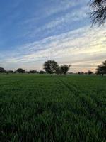 skön lantlig landskap med skön lutning kväll himmel på solnedgång. grön fält och by foto
