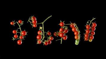 gren med röd mogen körsbär tomat på en svart bakgrund, höst skörda foto