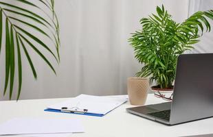 vit tabell med bärbar dator och kastruller med växter, frilans arbetsplats foto