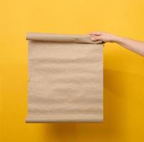 kvinna innehav tom brun paket av brun kraft papper. plats för ett inskrift, annons, information foto