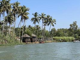 bakvatten kerala Indien foto