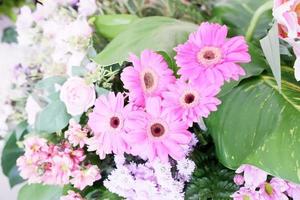 skön färsk blommor som en bakgrund foto