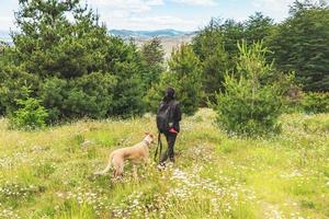 oigenkännlig kvinna gående henne vinthund hund i de berg. foto