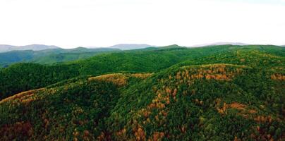 europeisk naturlig landskap foto